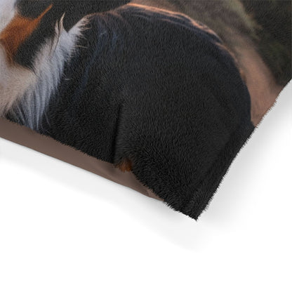 English Shepherd Dog Pet Bed