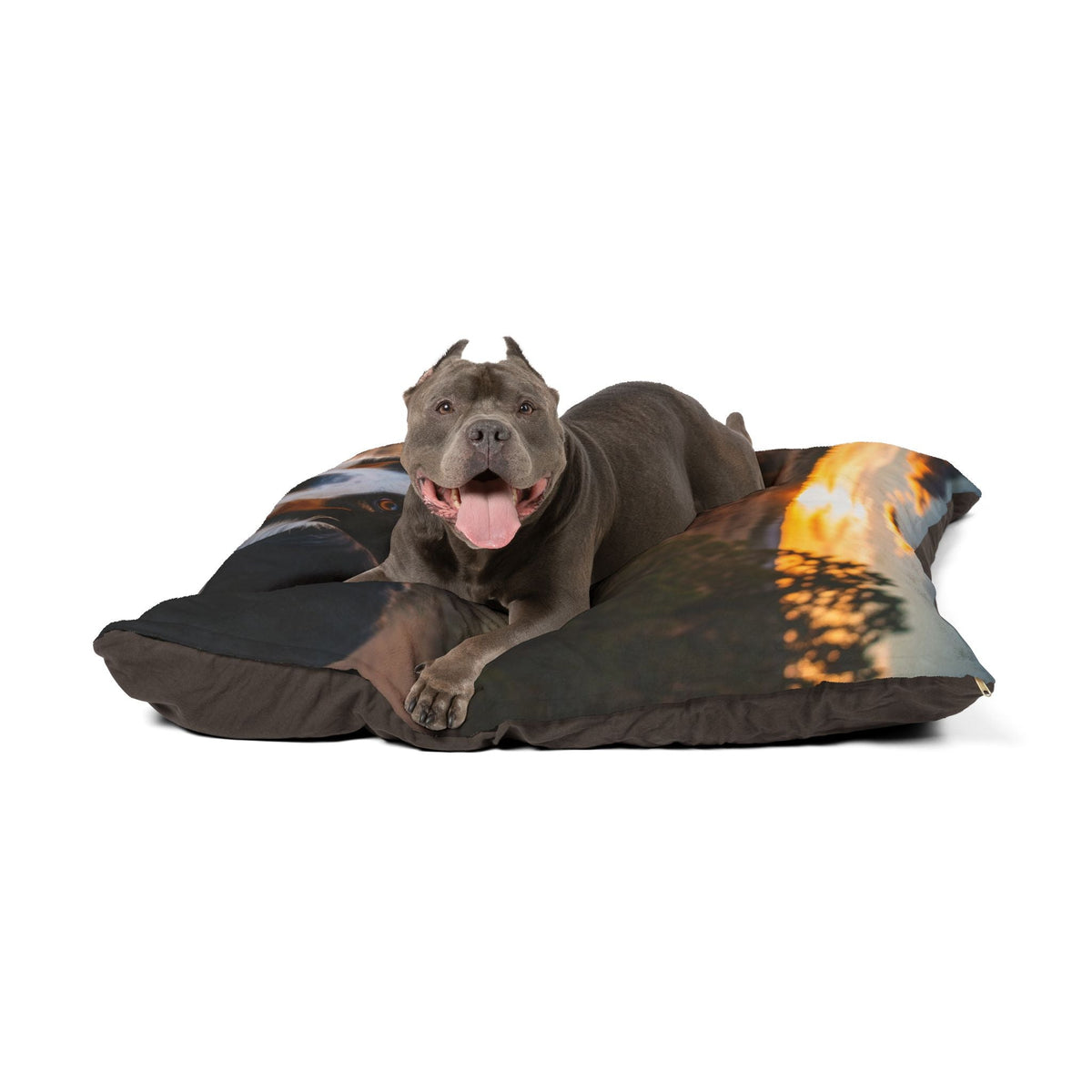 English Shepherd Dog Pet Bed