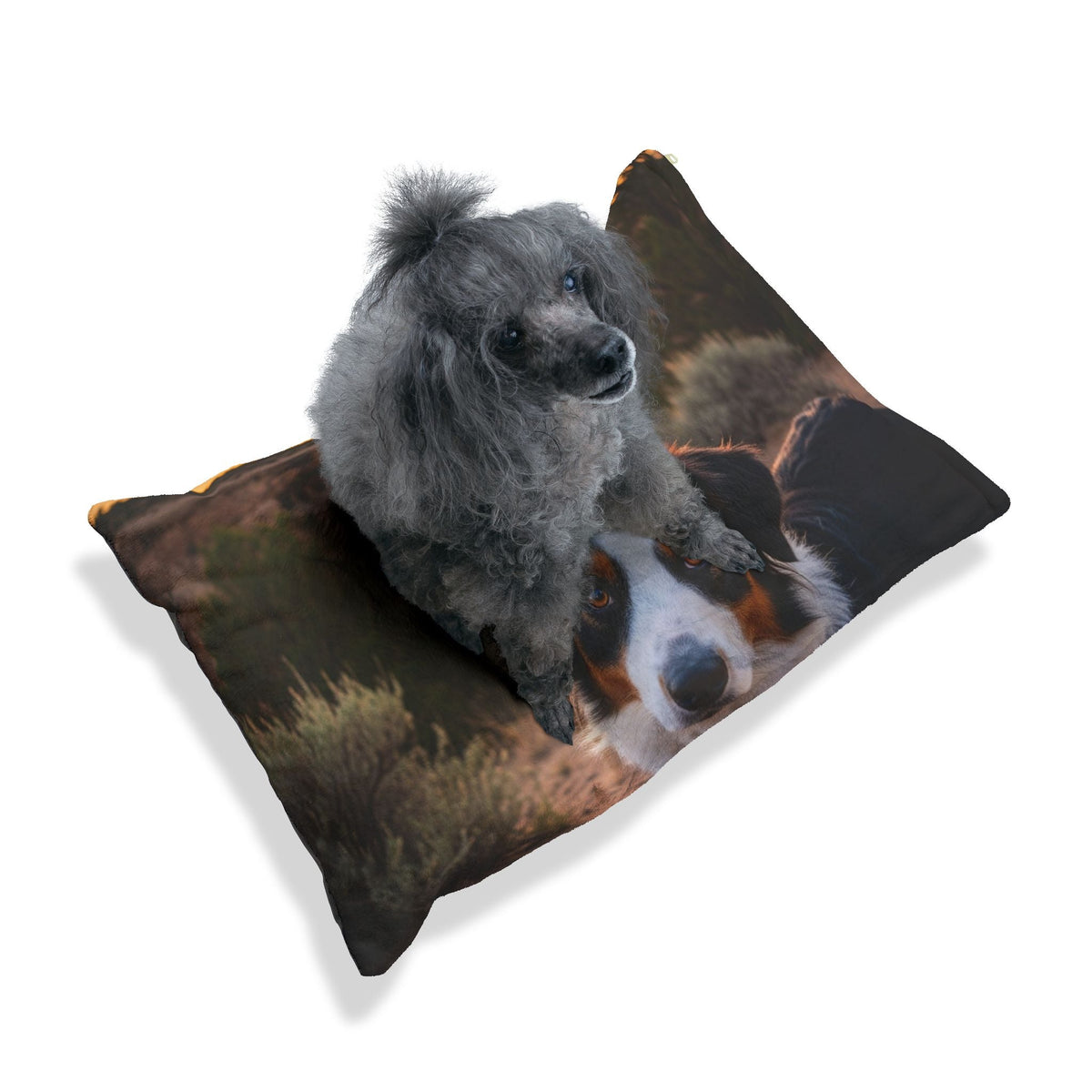 English Shepherd Dog Pet Bed
