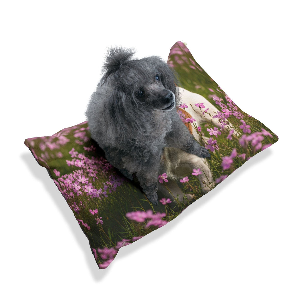 Pet Bed – Plush Dog Bed, 3 Size Options