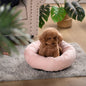 Kasentex Soft Dog Bed - Cozy Pet Bed Cushion