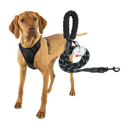 Lovtastic Creations™ No-Pull Dog Harness - with Strong & Durable Dog Leash