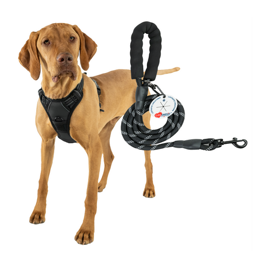 Lovtastic Creations™ No-Pull Dog Harness - with Strong & Durable Dog Leash