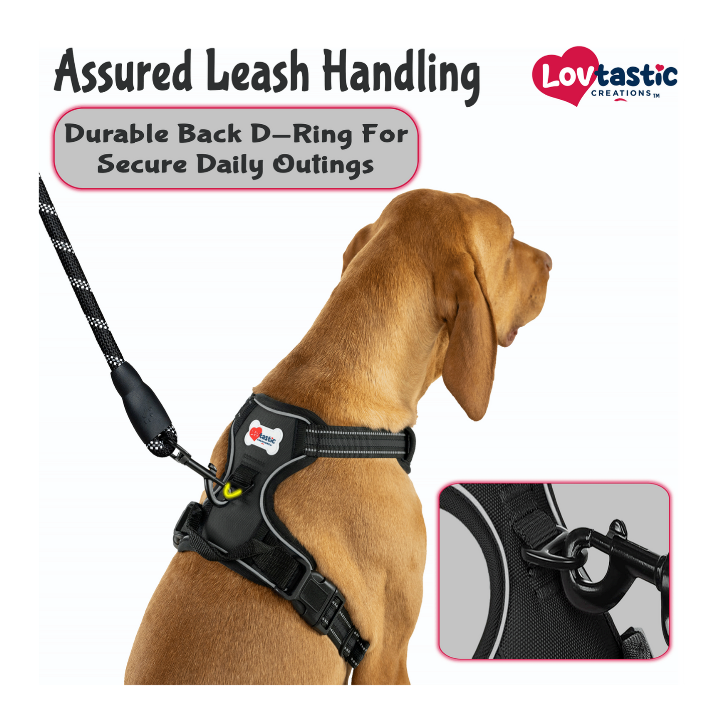 Lovtastic Creations™ No-Pull Dog Harness - with Strong & Durable Dog Leash