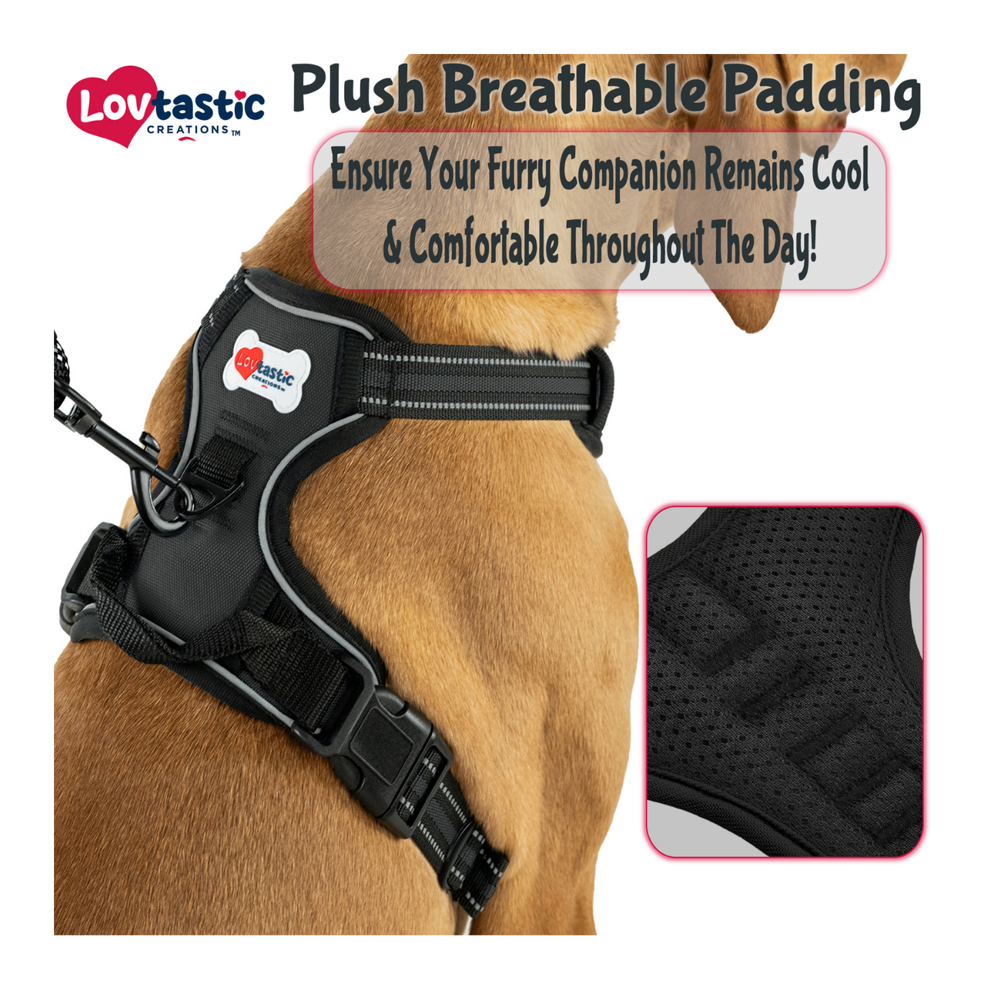 Lovtastic Creations™ No-Pull Dog Harness - with Strong & Durable Dog Leash