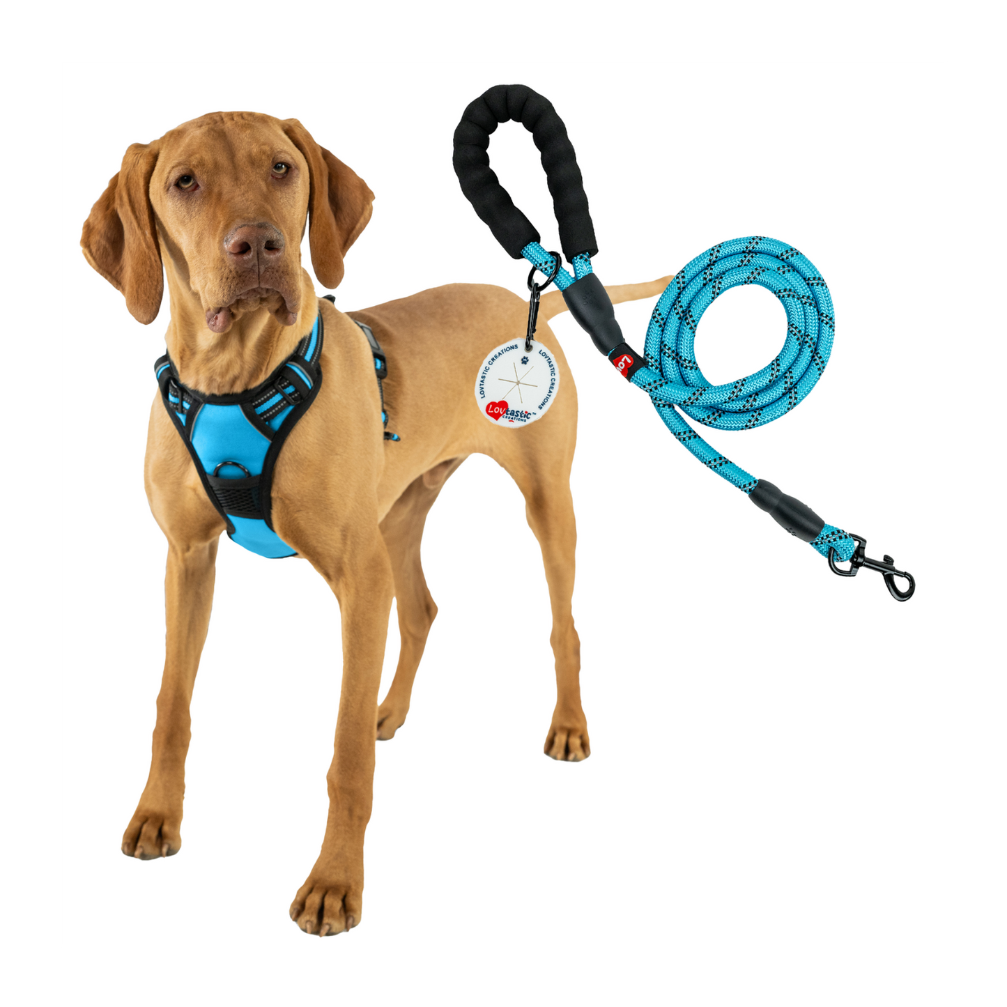 Lovtastic Creations™ No-Pull Dog Harness - with Strong & Durable Dog Leash
