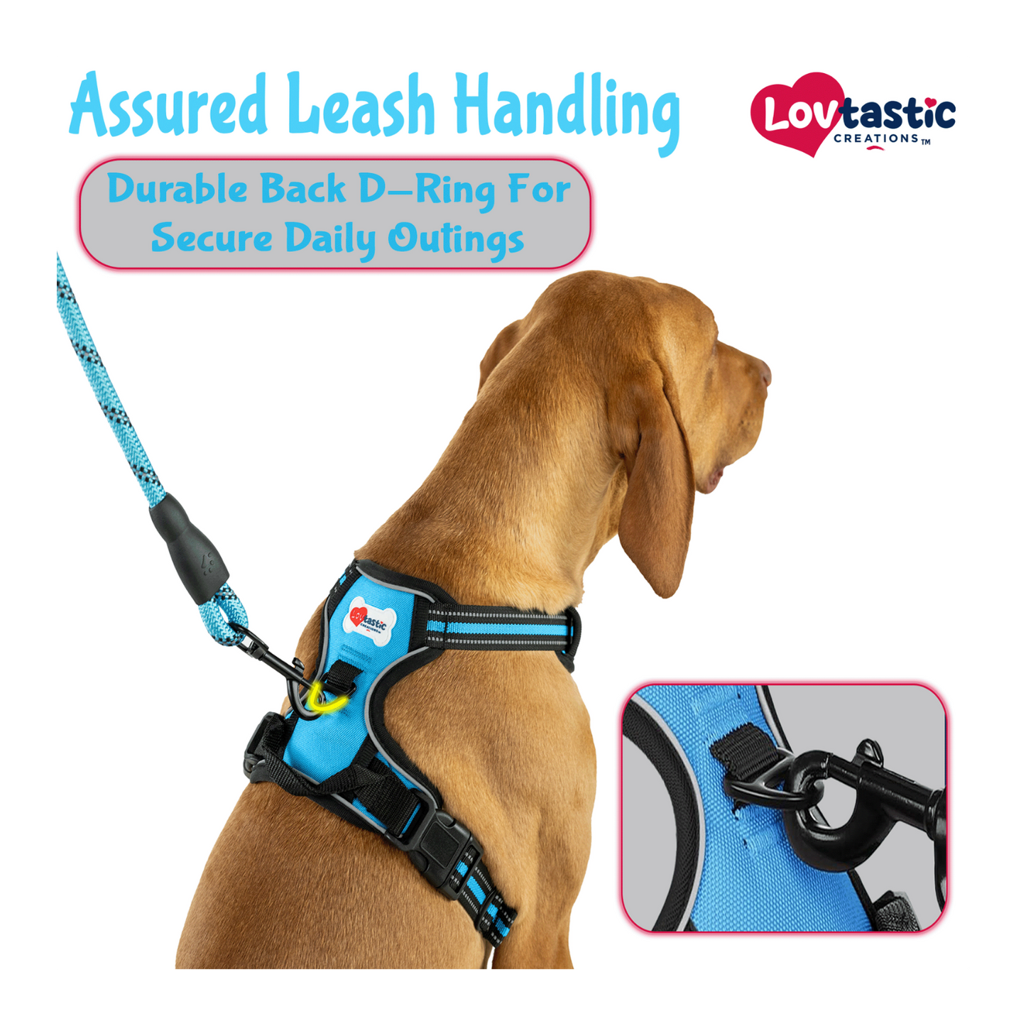Lovtastic Creations™ No-Pull Dog Harness - with Strong & Durable Dog Leash