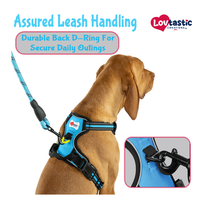 Lovtastic Creations™ No-Pull Dog Harness - with Strong & Durable Dog Leash