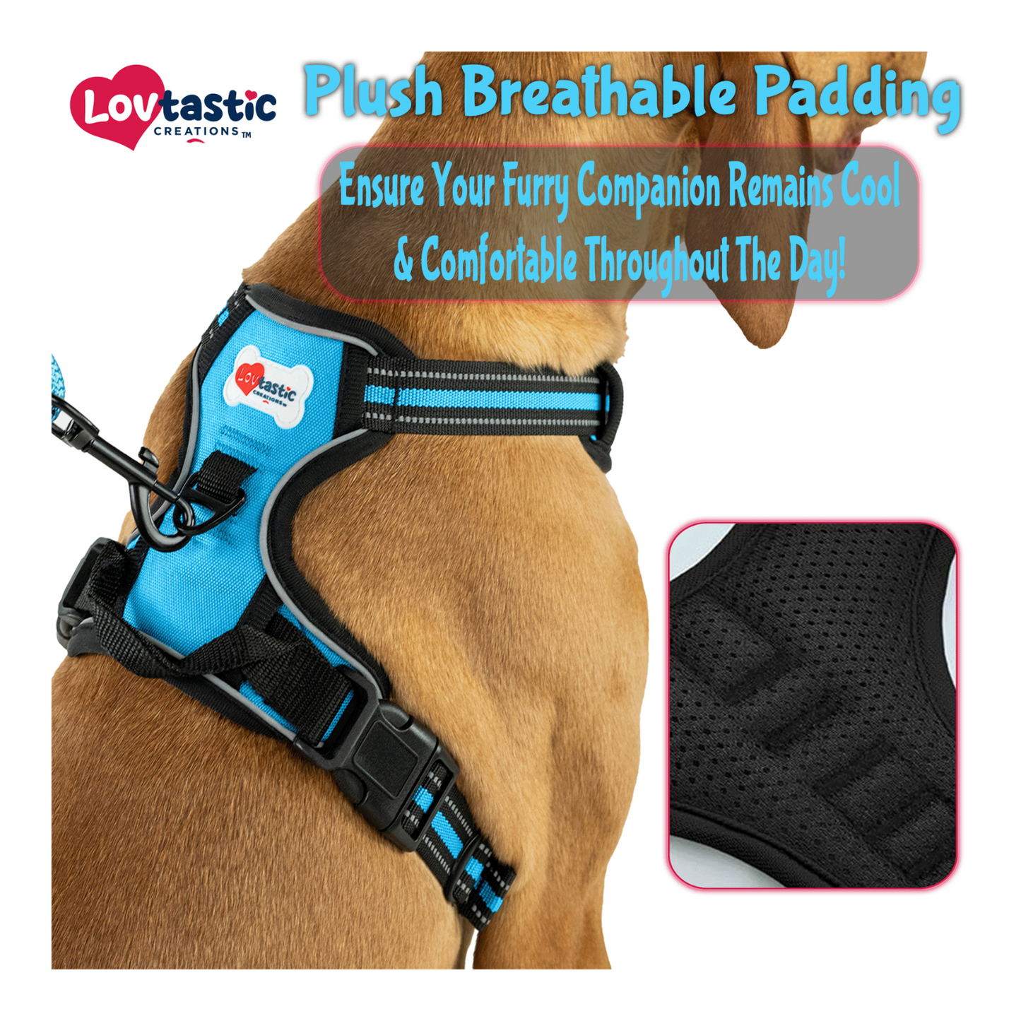 Lovtastic Creations™ No-Pull Dog Harness - with Strong & Durable Dog Leash