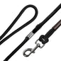 GPCA Dog Leash LITE Bundle