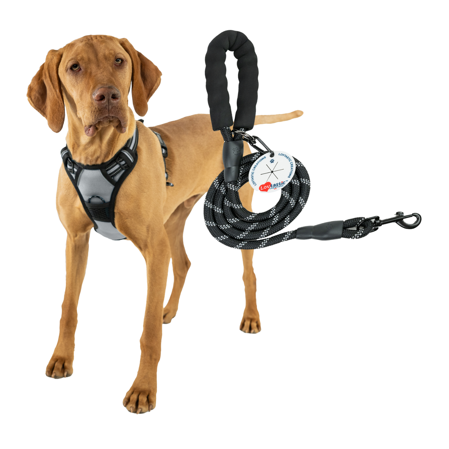 Lovtastic Creations™ No-Pull Dog Harness - with Strong & Durable Dog Leash
