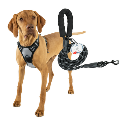 Lovtastic Creations™ No-Pull Dog Harness - with Strong & Durable Dog Leash