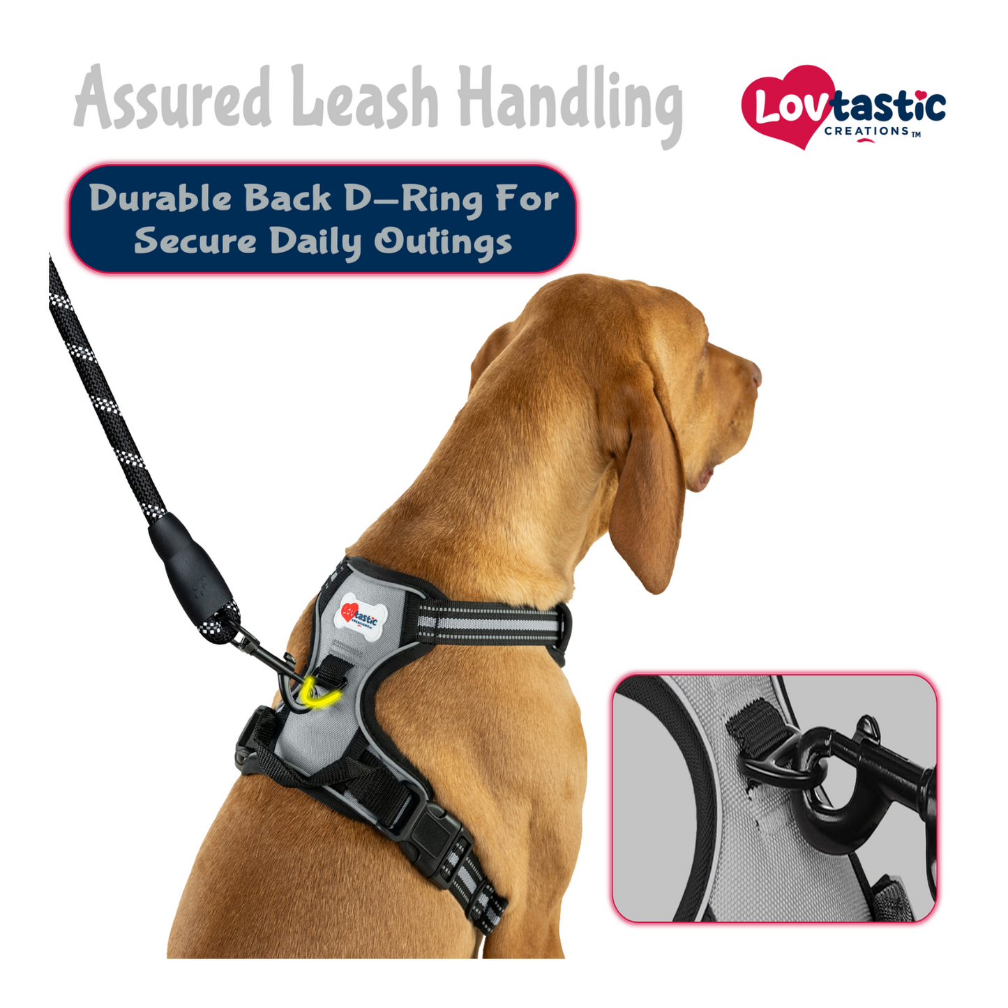 Lovtastic Creations™ No-Pull Dog Harness - with Strong & Durable Dog Leash