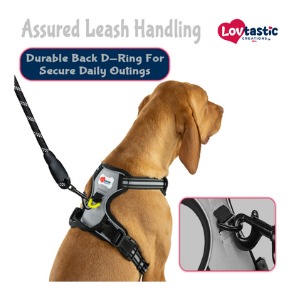 Lovtastic Creations™ No-Pull Dog Harness - with Strong & Durable Dog Leash