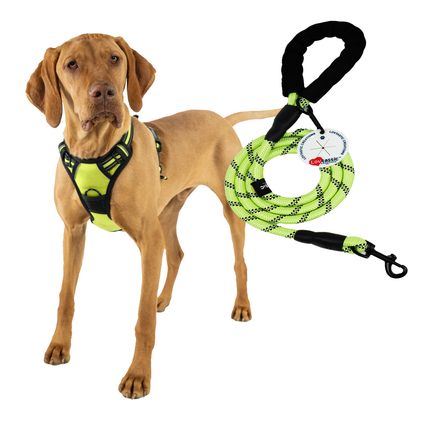 Lovtastic Creations™ No-Pull Dog Harness - with Strong & Durable Dog Leash