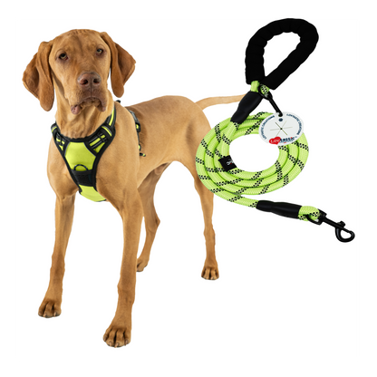 Lovtastic Creations™ No-Pull Dog Harness - with Strong & Durable Dog Leash