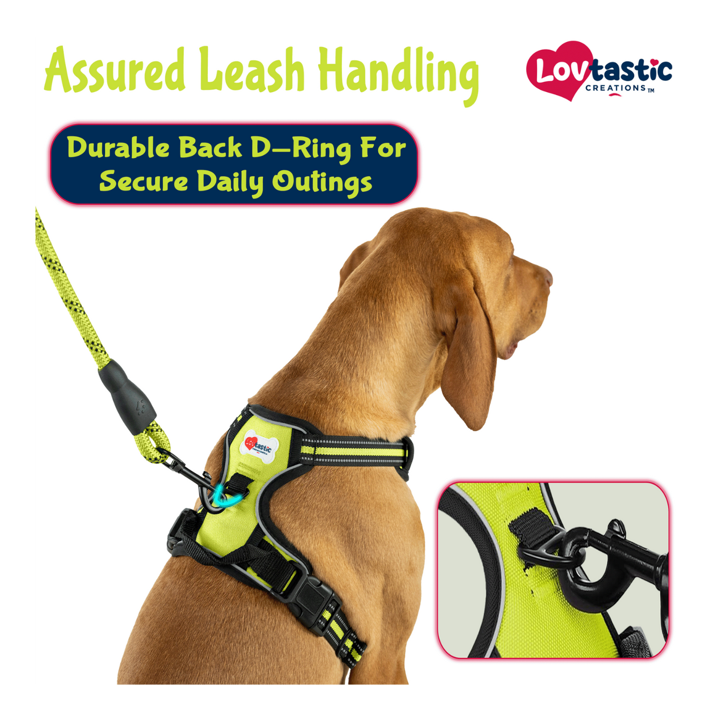 Lovtastic Creations™ No-Pull Dog Harness - with Strong & Durable Dog Leash