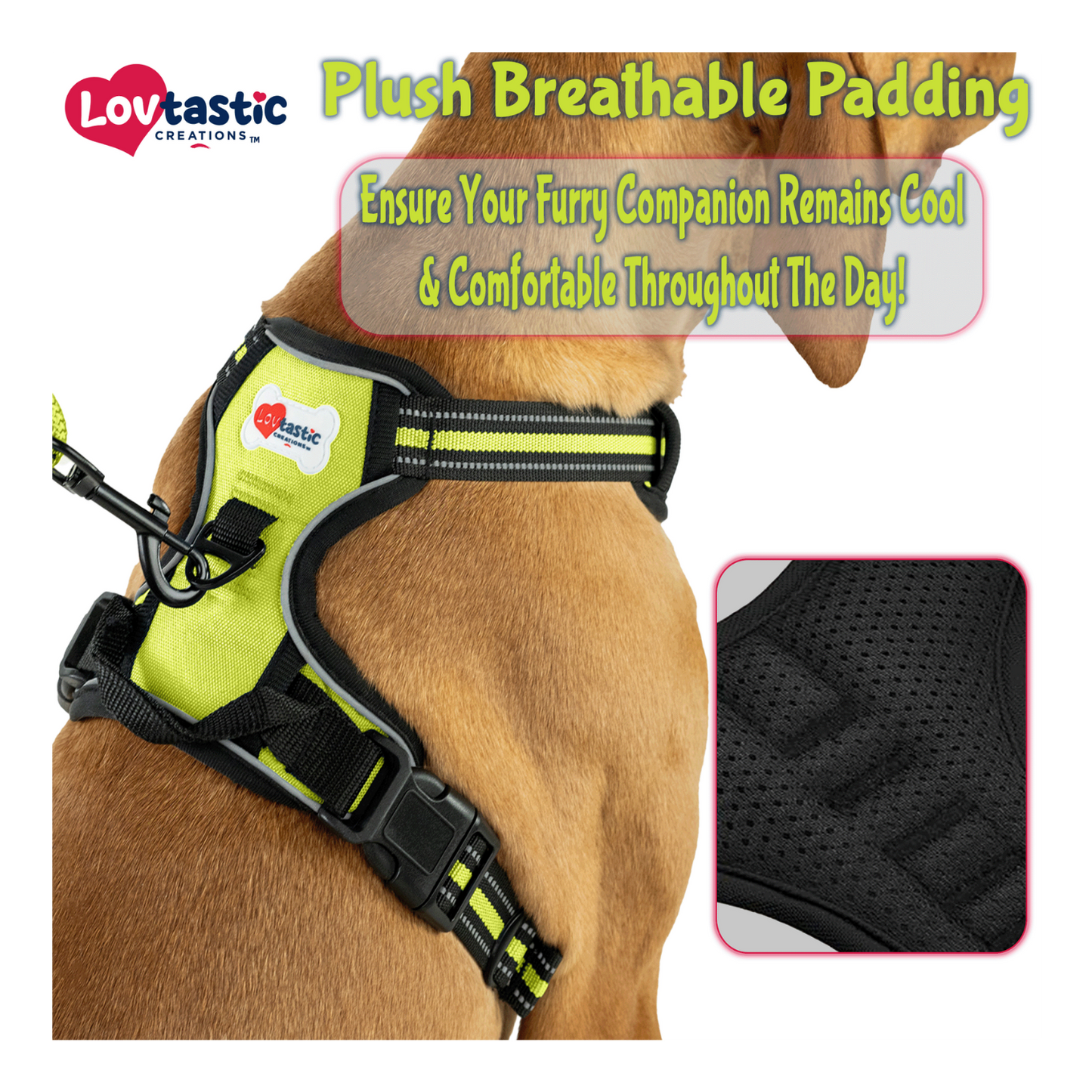 Lovtastic Creations™ No-Pull Dog Harness - with Strong & Durable Dog Leash