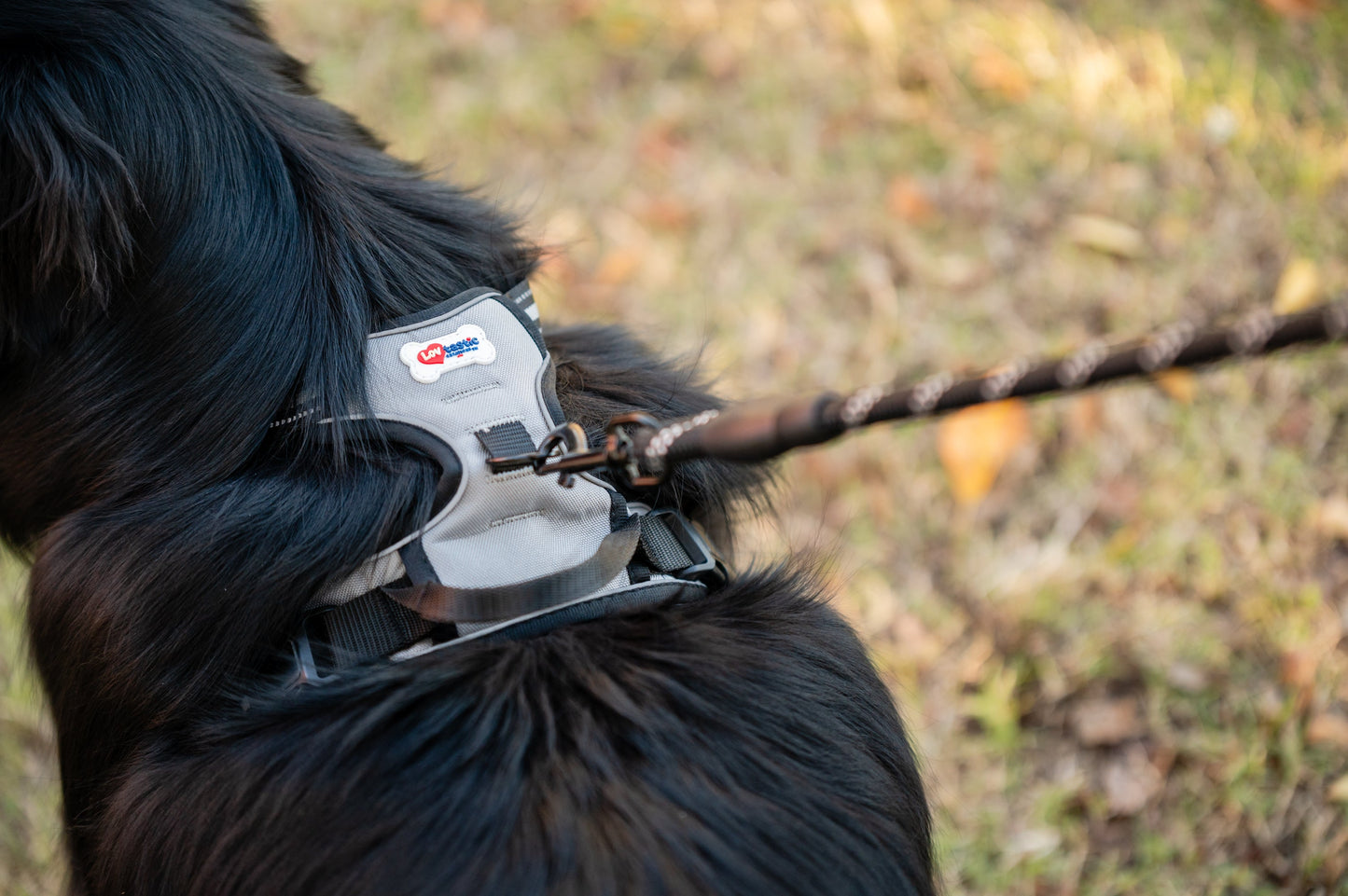 Lovtastic Creations™ No-Pull Dog Harness - with Strong & Durable Dog Leash