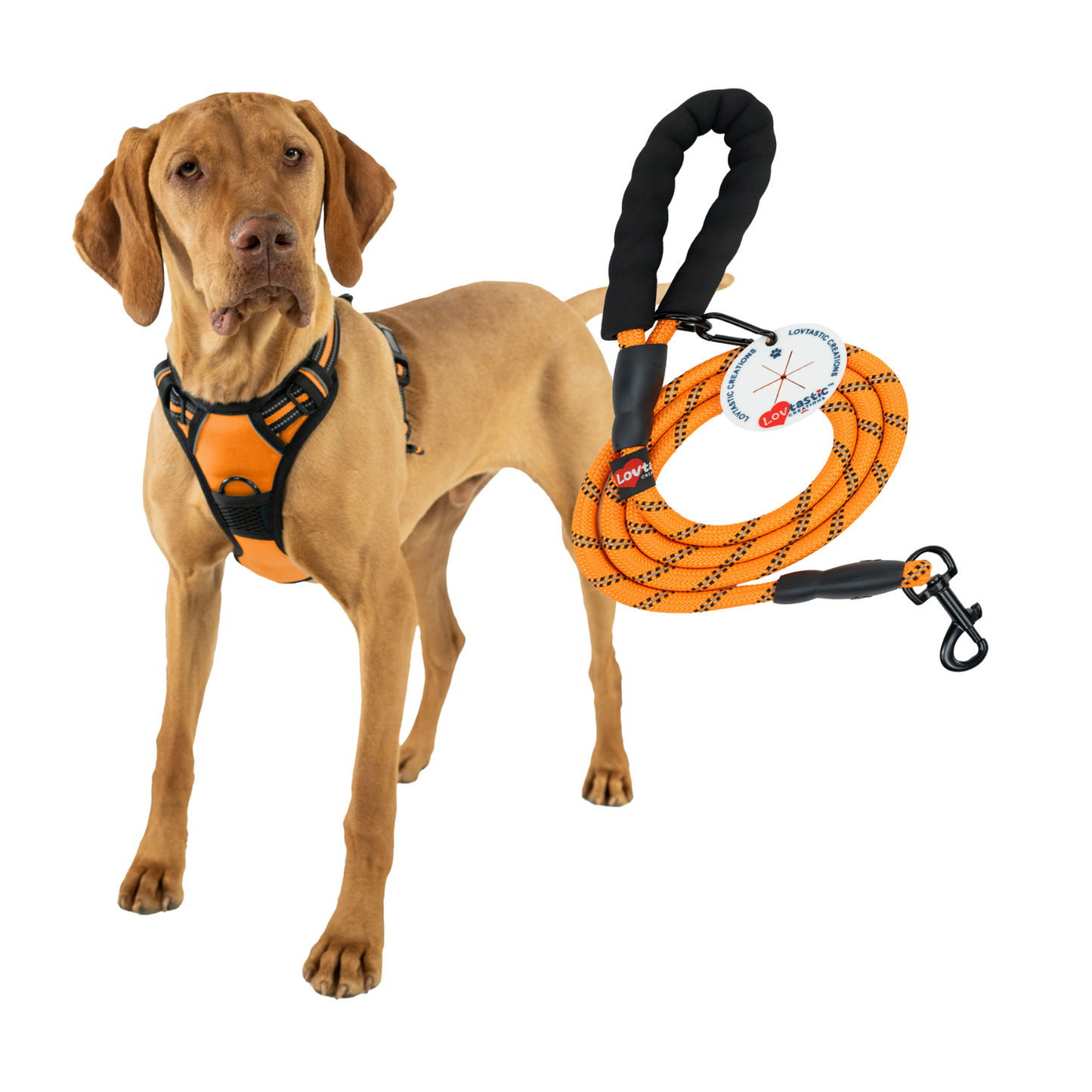 Lovtastic Creations™ No-Pull Dog Harness - with Strong & Durable Dog Leash