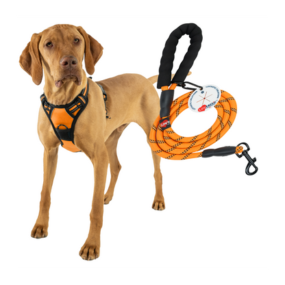 Lovtastic Creations™ No-Pull Dog Harness - with Strong & Durable Dog Leash