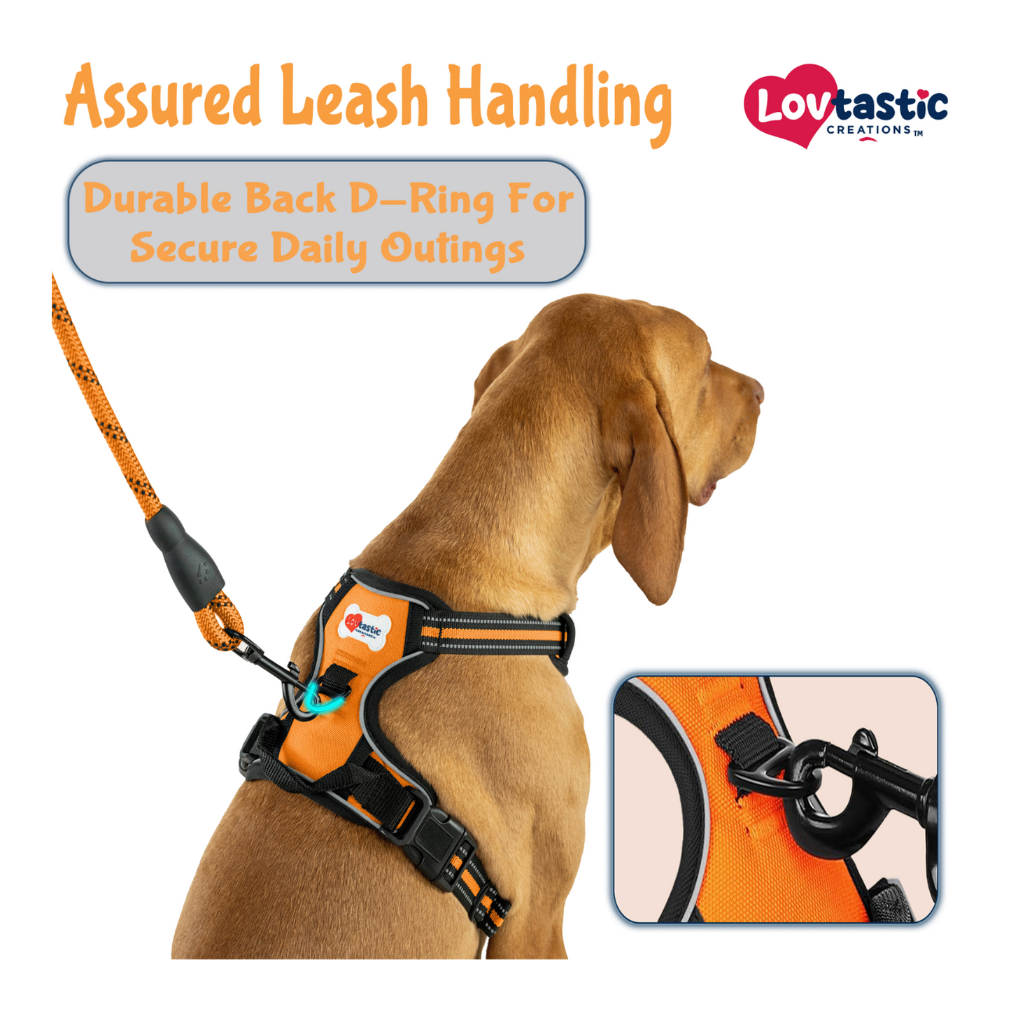 Lovtastic Creations™ No-Pull Dog Harness - with Strong & Durable Dog Leash