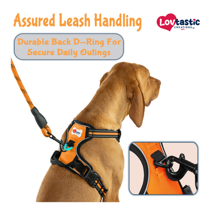 Lovtastic Creations™ No-Pull Dog Harness - with Strong & Durable Dog Leash