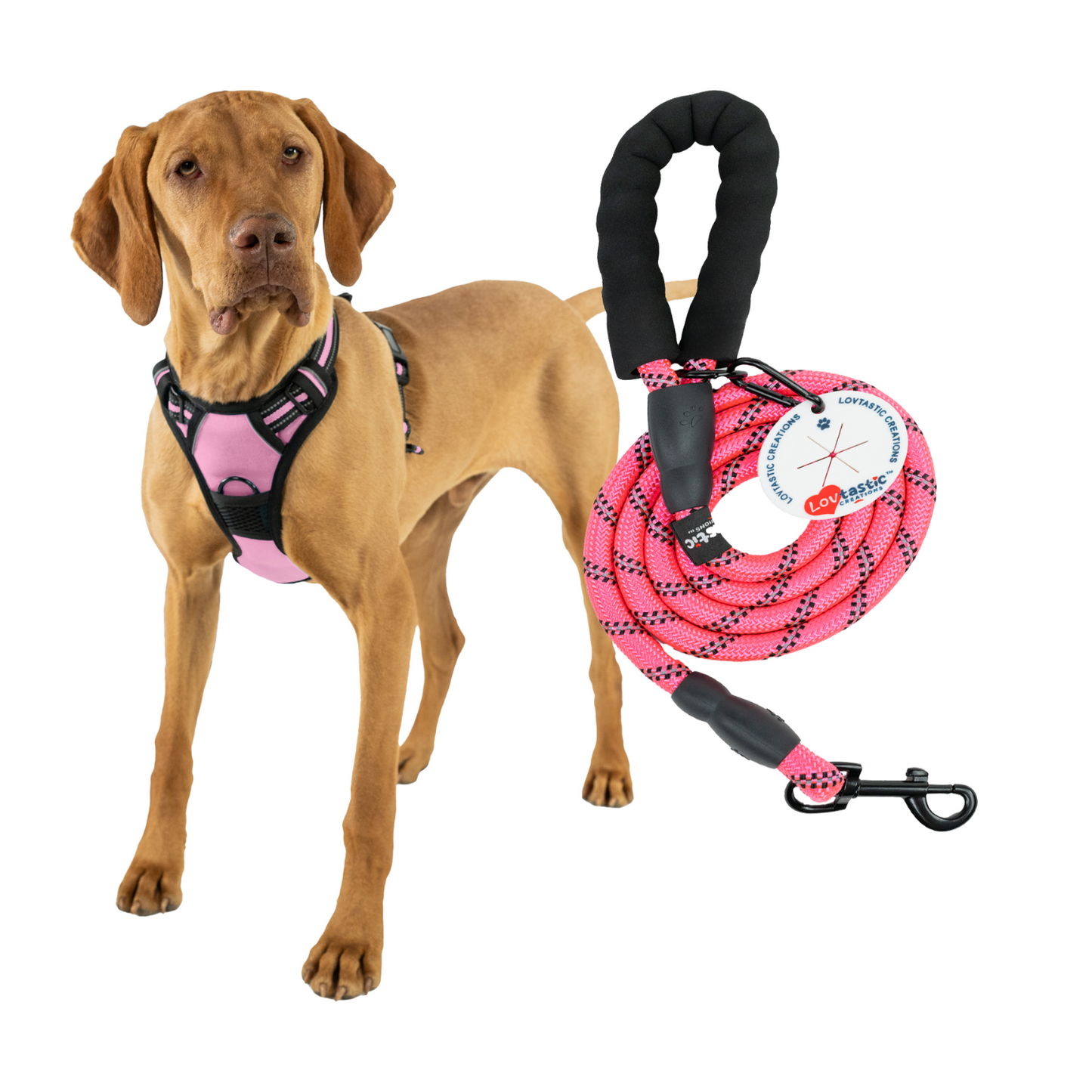 Lovtastic Creations™ No-Pull Dog Harness - with Strong & Durable Dog Leash
