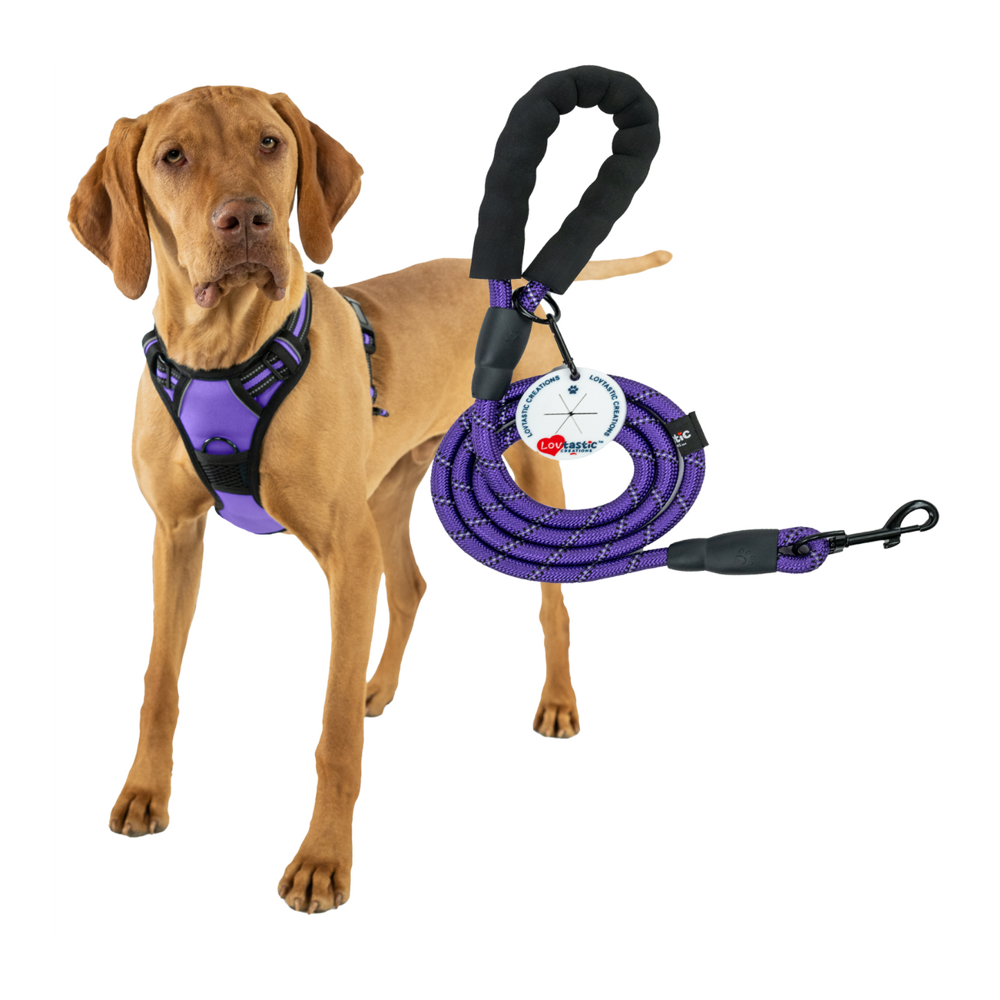 Lovtastic Creations™ No-Pull Dog Harness - with Strong & Durable Dog Leash