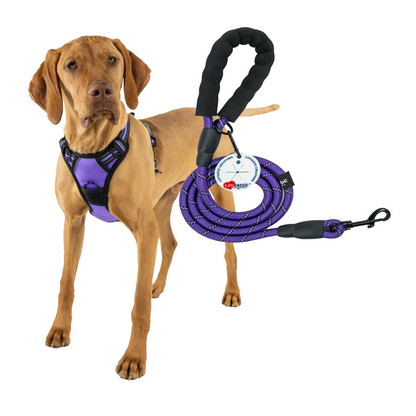 Lovtastic Creations™ No-Pull Dog Harness - with Strong & Durable Dog Leash