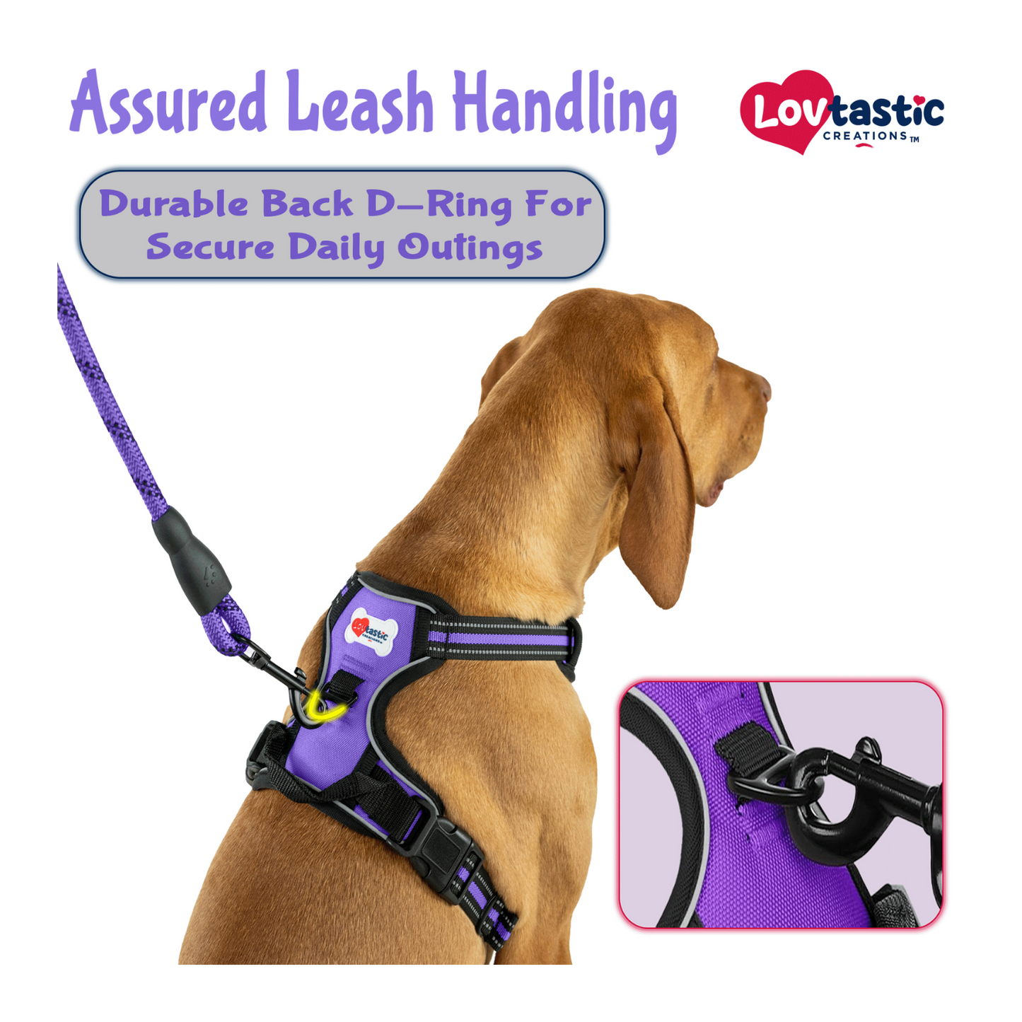Lovtastic Creations™ No-Pull Dog Harness - with Strong & Durable Dog Leash
