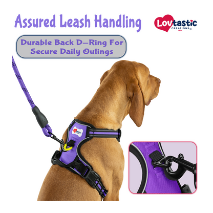 Lovtastic Creations™ No-Pull Dog Harness - with Strong & Durable Dog Leash