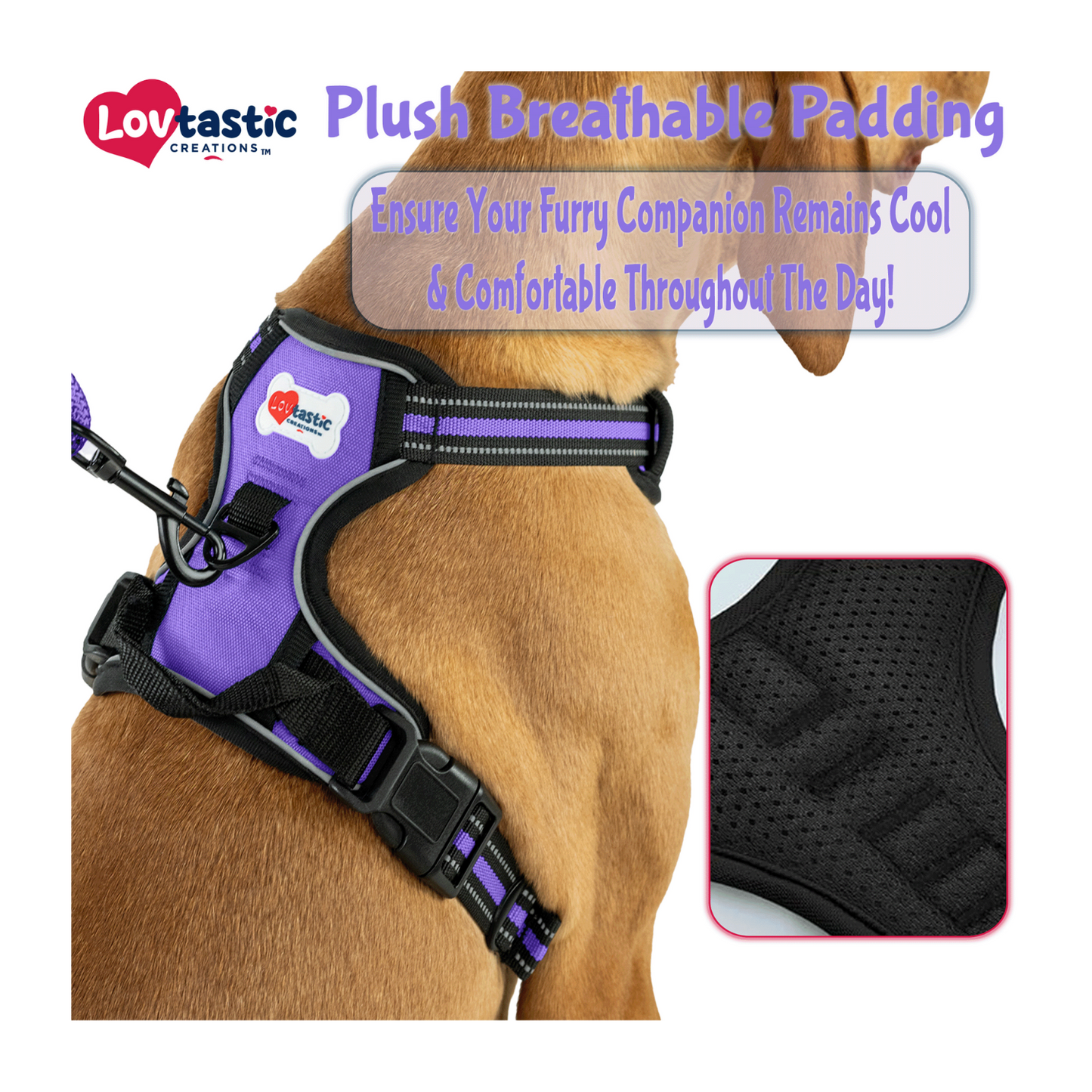 Lovtastic Creations™ No-Pull Dog Harness - with Strong & Durable Dog Leash