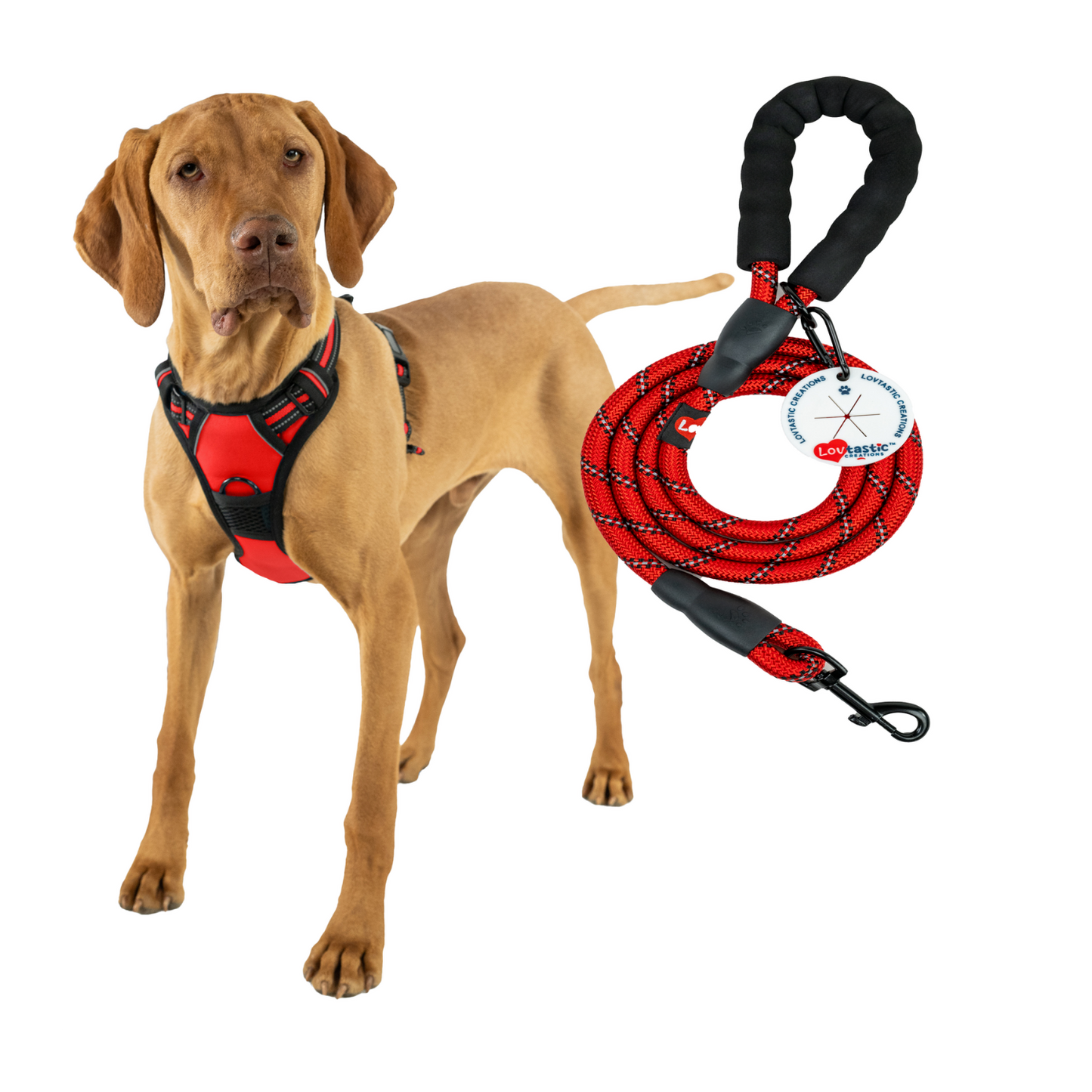 Lovtastic Creations™ No-Pull Dog Harness - with Strong & Durable Dog Leash