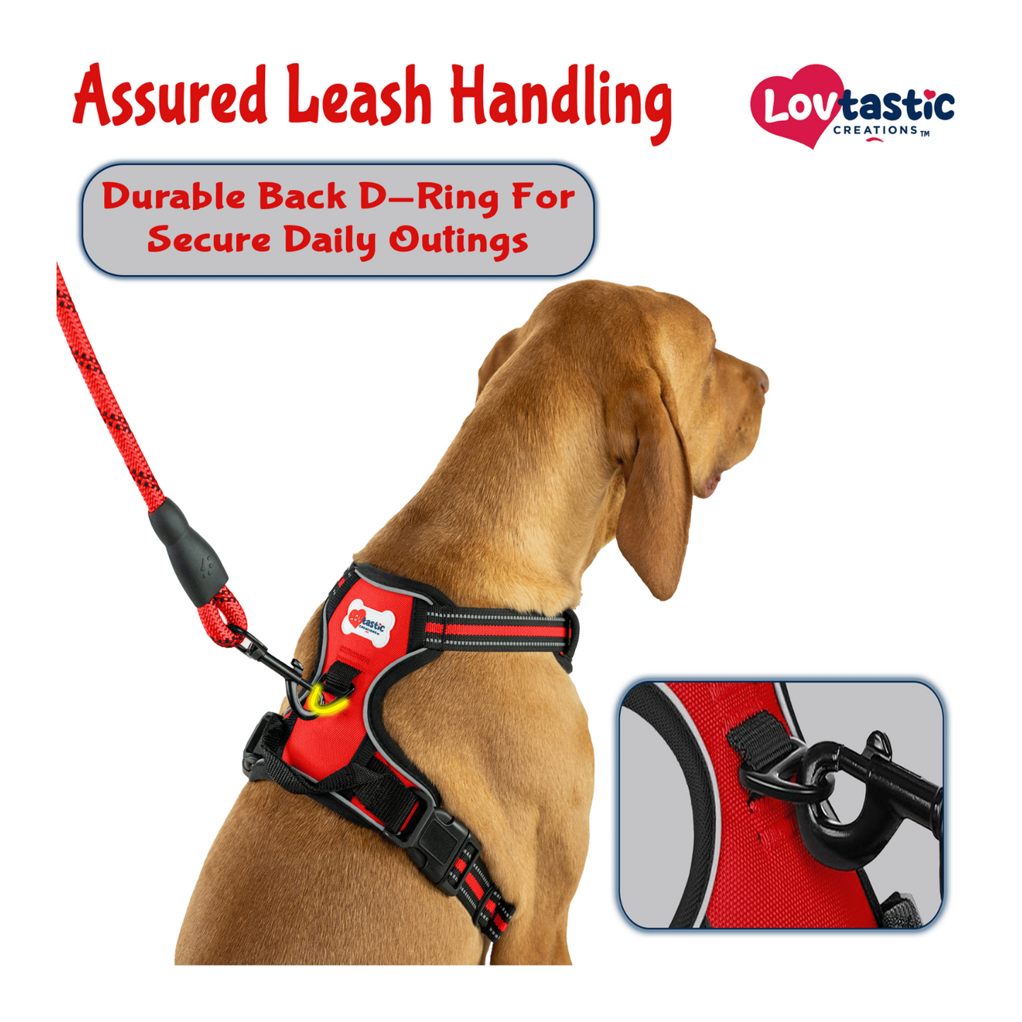 Lovtastic Creations™ No-Pull Dog Harness - with Strong & Durable Dog Leash