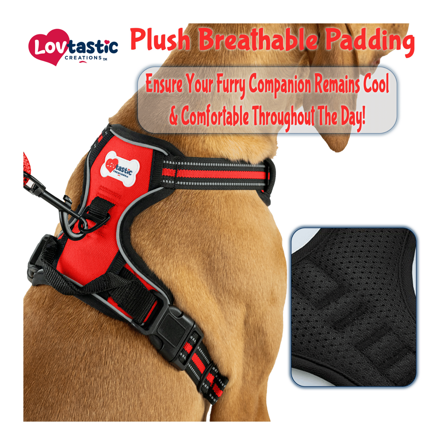 Lovtastic Creations™ No-Pull Dog Harness - with Strong & Durable Dog Leash