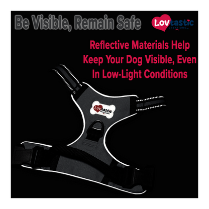 Lovtastic Creations™ No-Pull Dog Harness - with Strong & Durable Dog Leash
