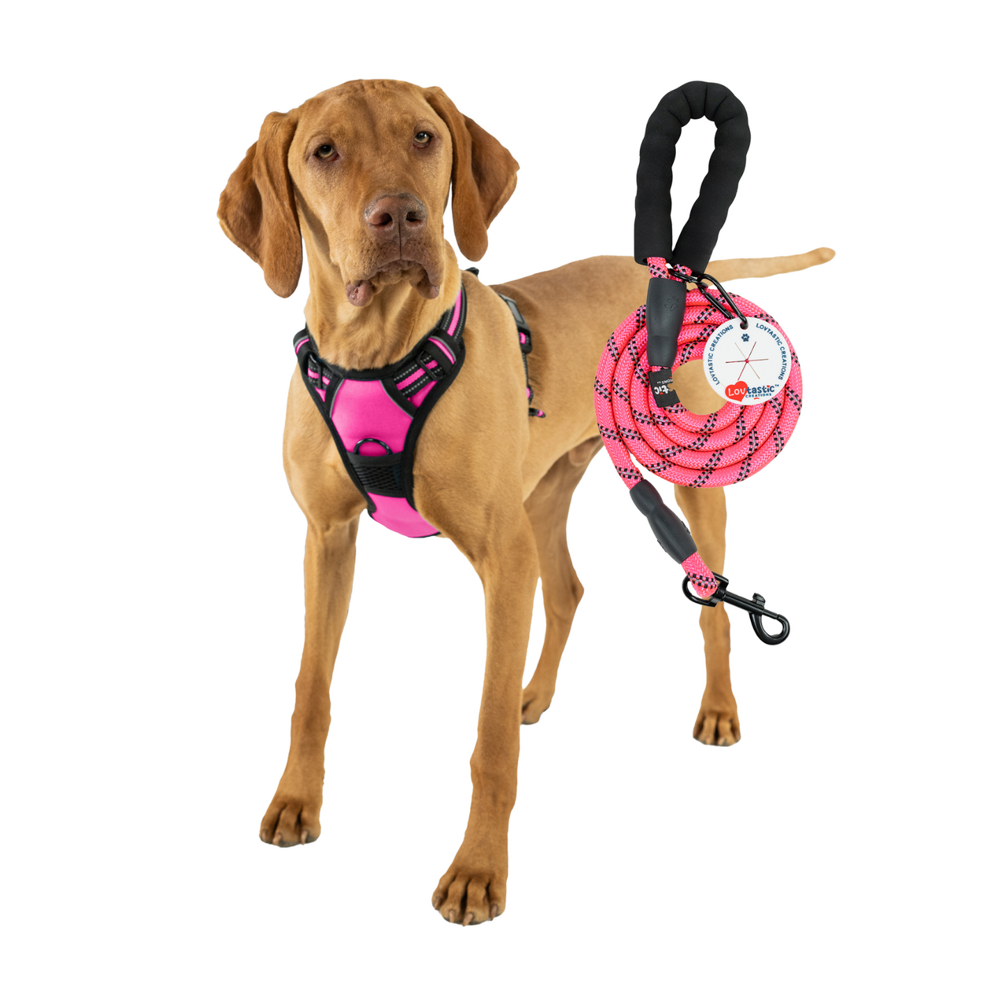 Lovtastic Creations™ No-Pull Dog Harness - with Strong & Durable Dog Leash