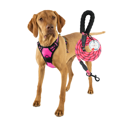 Lovtastic Creations™ No-Pull Dog Harness - with Strong & Durable Dog Leash