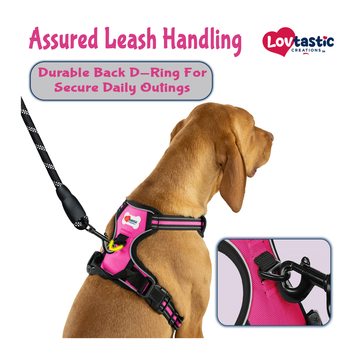 Lovtastic Creations™ No-Pull Dog Harness - with Strong & Durable Dog Leash