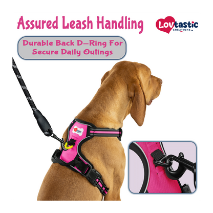 Lovtastic Creations™ No-Pull Dog Harness - with Strong & Durable Dog Leash