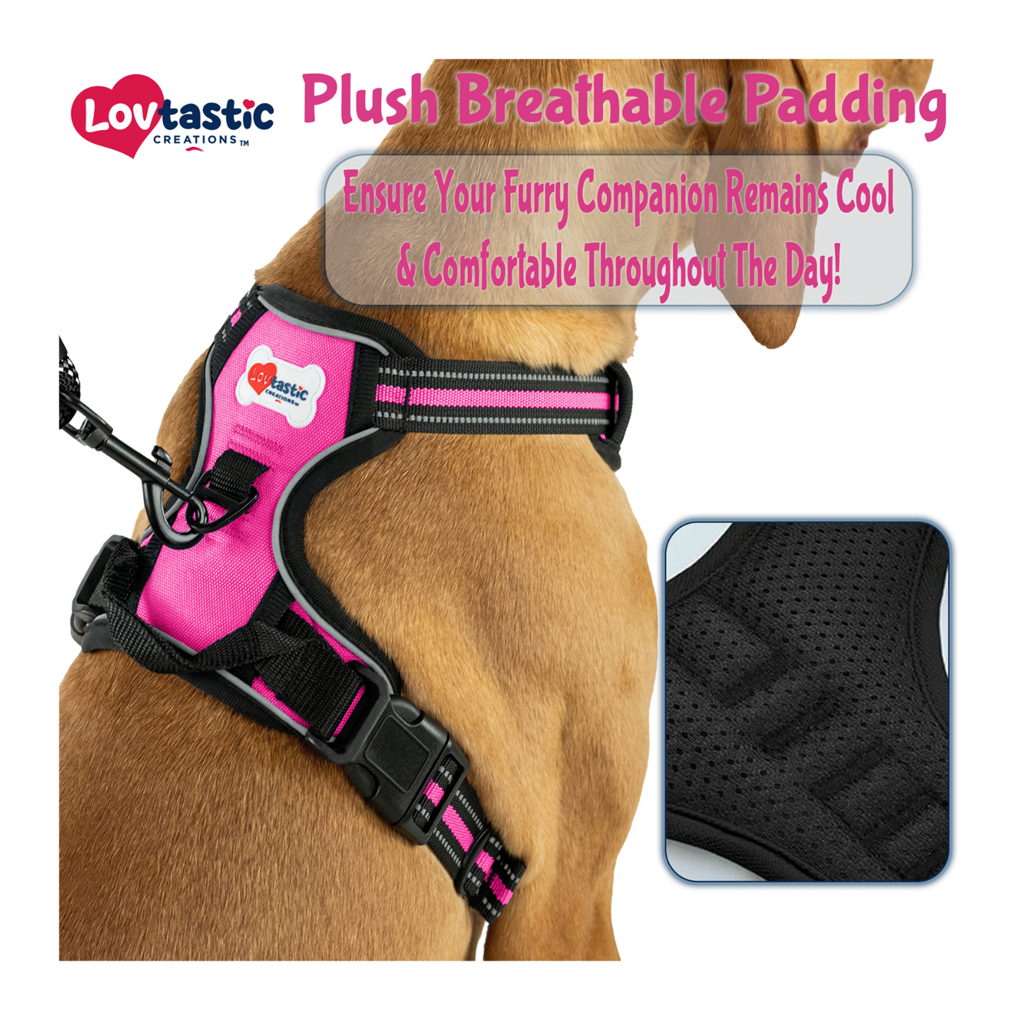 Lovtastic Creations™ No-Pull Dog Harness - with Strong & Durable Dog Leash