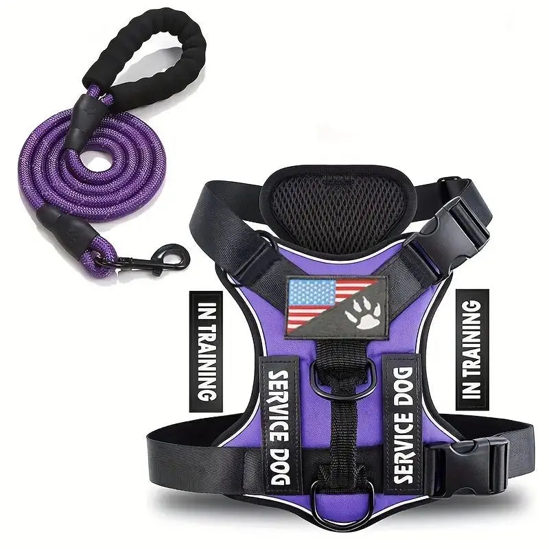 Dog Harness And Leash Set, Escape Proof No Pull Dog Vest Harness