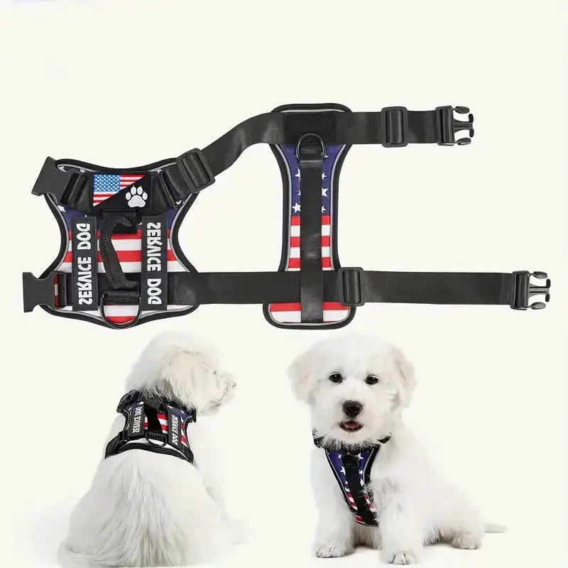 Dog Harness And Leash Set, Escape Proof No Pull Dog Vest Harness