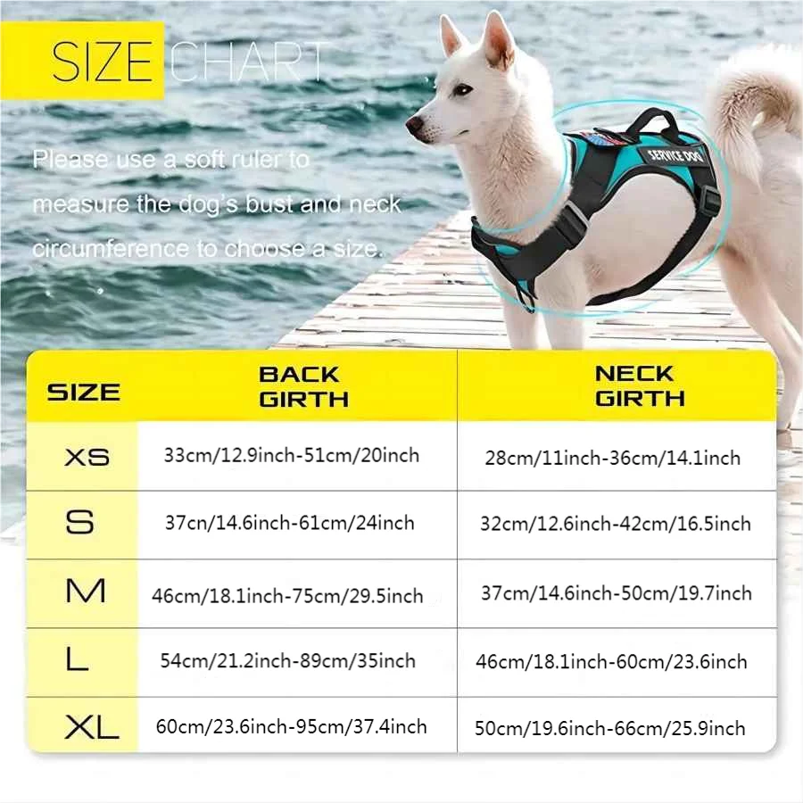 Dog Harness And Leash Set, Escape Proof No Pull Dog Vest Harness