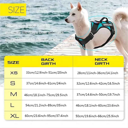 Dog Harness And Leash Set, Escape Proof No Pull Dog Vest Harness