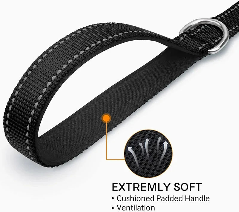 Reflective Pet Leash | Adjustable Polyester Lead Strap
