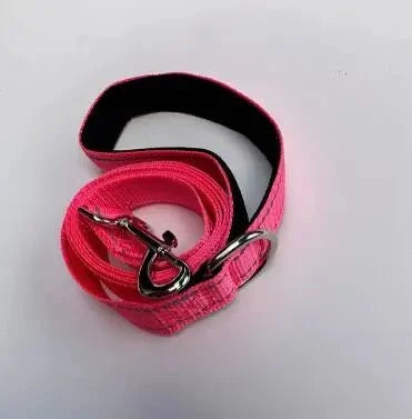 Reflective Pet Leash | Adjustable Polyester Lead Strap