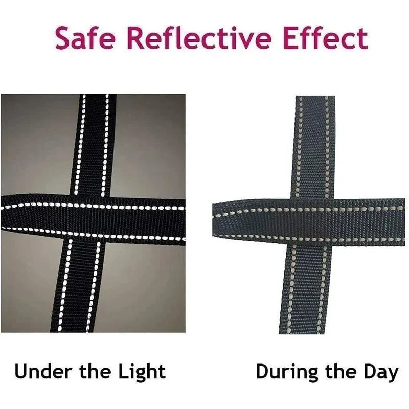 Reflective Pet Leash | Adjustable Polyester Lead Strap