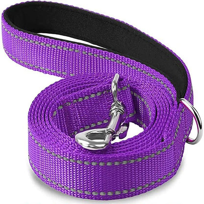 Reflective Pet Leash | Adjustable Polyester Lead Strap